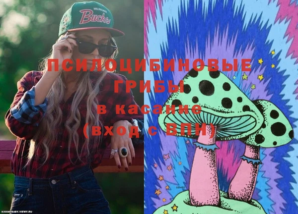 бошки Медногорск